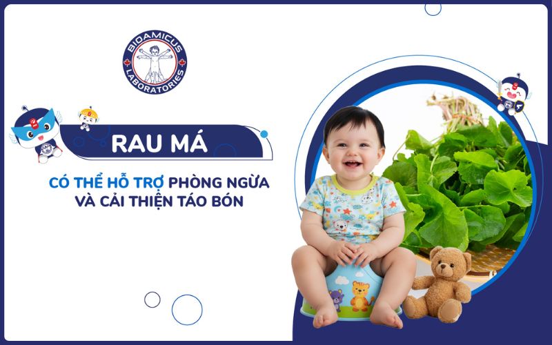 Rau m&aacute; c&oacute; thể hỗ trợ trị t&aacute;o b&oacute;n