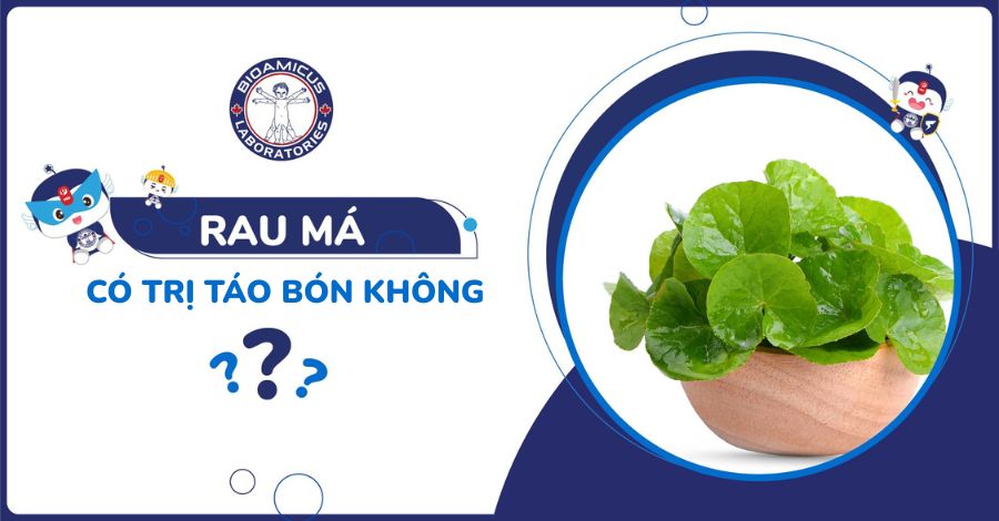Rau má có trị táo bón không? Tìm hiểu ngay