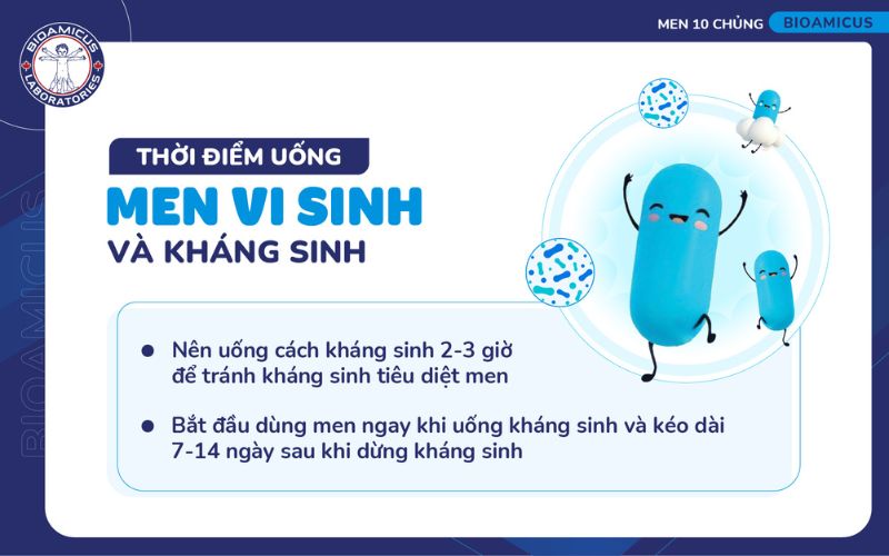 thời điểm uống men vi sinh v&agrave; kh&aacute;ng sinh