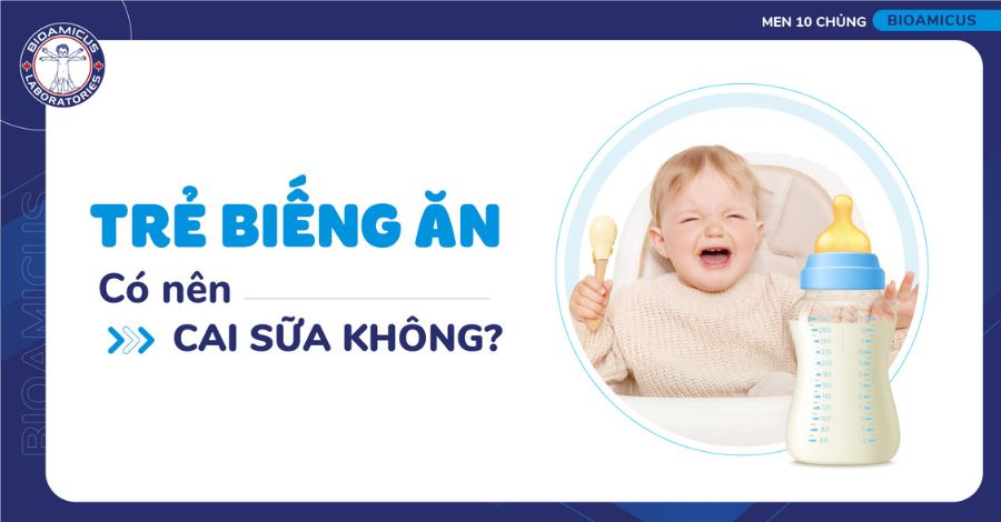 Trẻ biếng ăn có nên cai sữa không? Thực hư việc bú mẹ gây biếng ăn