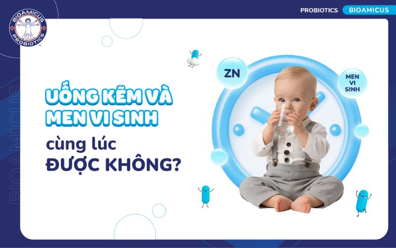 uống kẽm v&agrave; men vi sinh c&ugrave;ng l&uacute;c được kh&ocirc;ng?