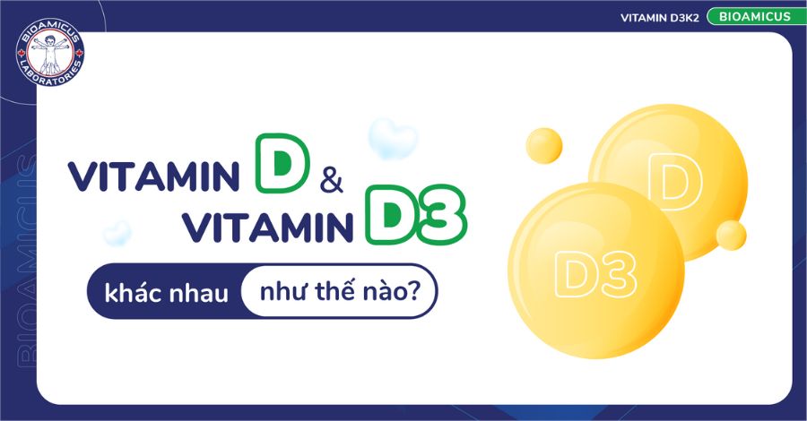 Vitamin D và D3 khác nhau như thế nào? Khám phá ngay