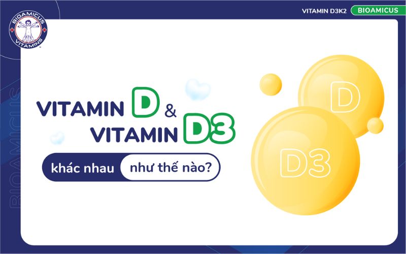 vitamin D và D3 khác nhau như thế nào