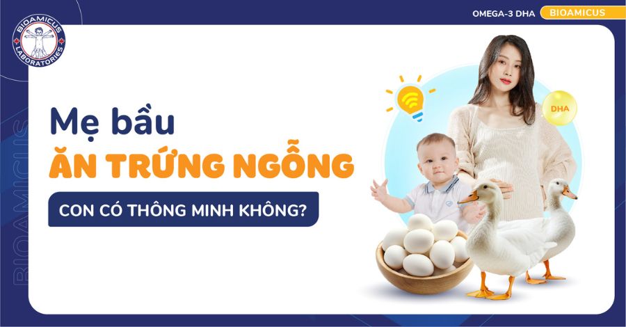 Ăn trứng ngỗng con có thông minh không? MẸ BẦU CẦN BIẾT
