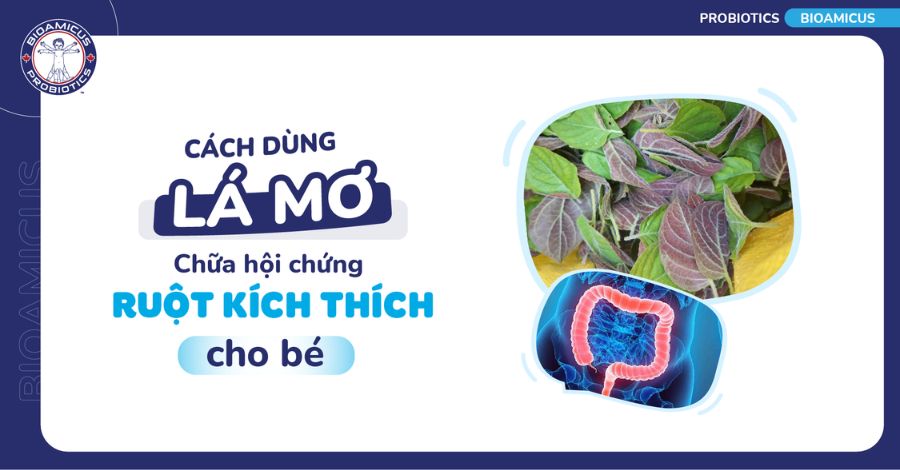 Dùng lá mơ chữa hội chứng ruột kích thích liệu có hiệu quả?