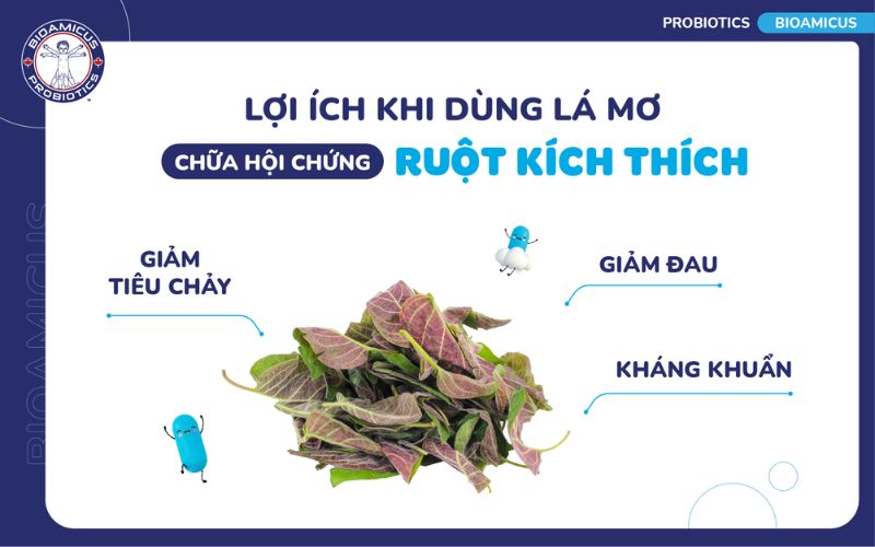 Lợi &iacute;ch của l&aacute; mơ với hội chứng ruột k&iacute;ch th&iacute;ch