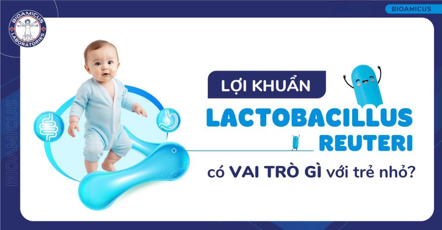 Lợi khuẩn Lactobacillus Reuteri có vai trò gì với trẻ nhỏ?