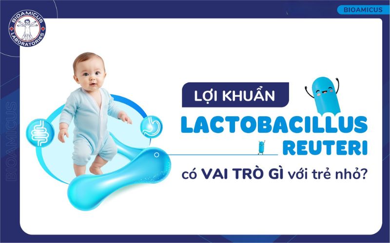 Lợi khuẩn Lactobacillus Reuteri