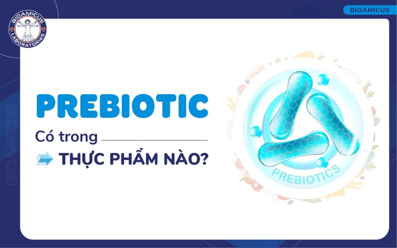 Prebiotic có trong thực phẩm nào?
