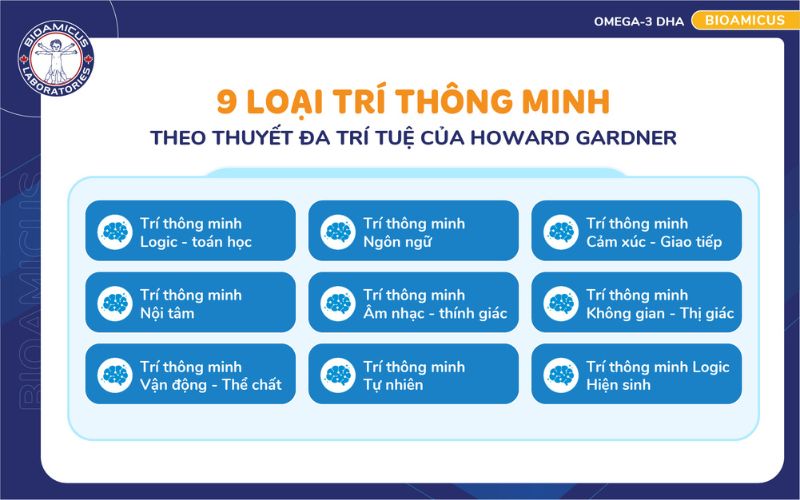 9 Loại tr&iacute; th&ocirc;ng minh theo thuyết đa tr&iacute; tuệ