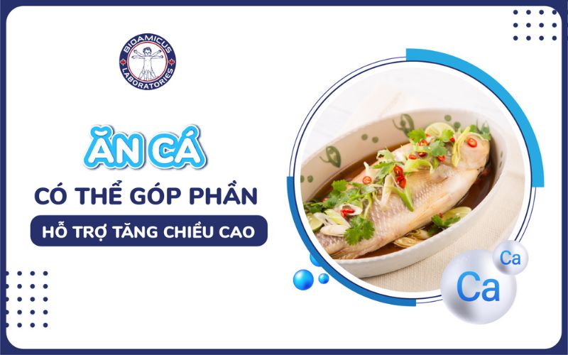 ăn c&aacute; hỗ trợ tăng chiều cao cho trẻ