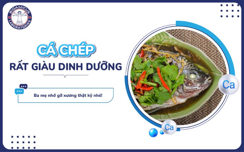 c&aacute; ch&eacute;p gi&agrave;u dinh dưỡng, hỗ trợ tăng cao cho b&eacute;