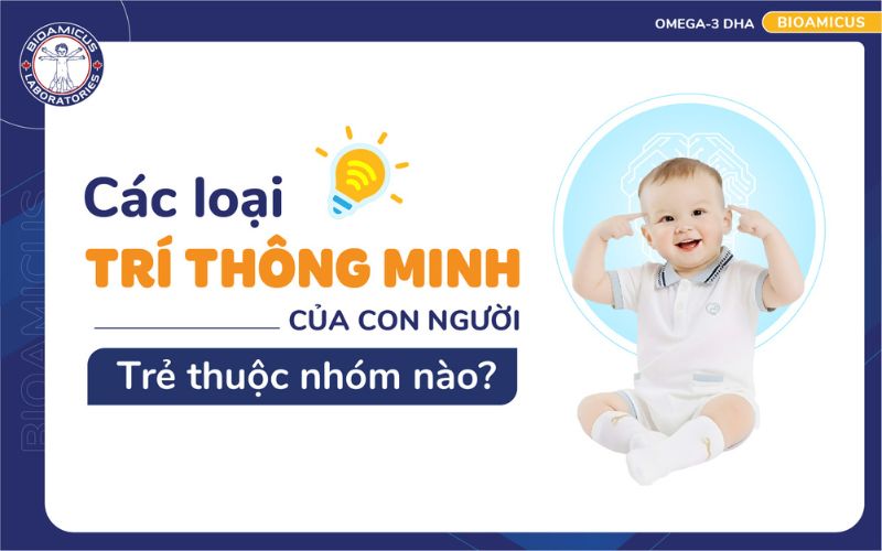 C&aacute;c loại tr&iacute; th&ocirc;ng minh của con người