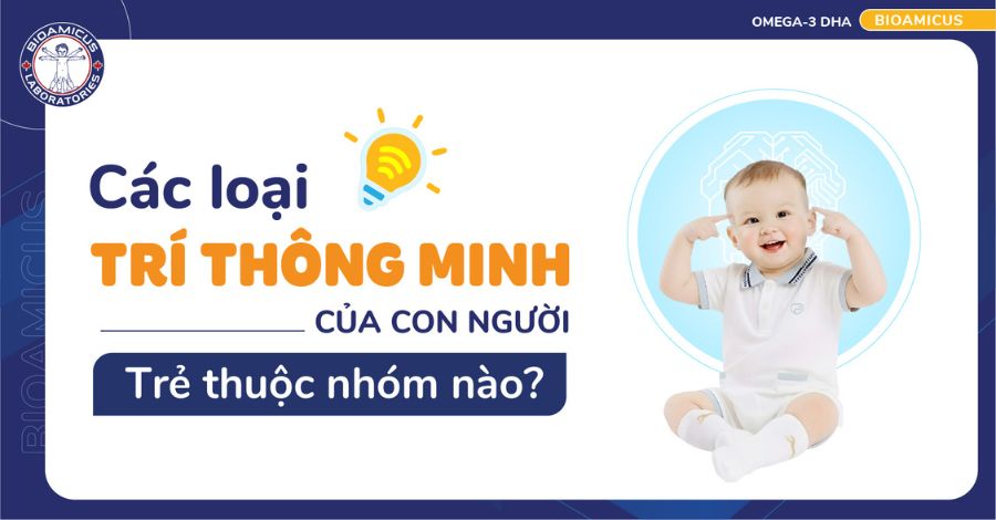 9 Loại trí thông minh - Thuyết đa trí tuệ của Howard Gardner