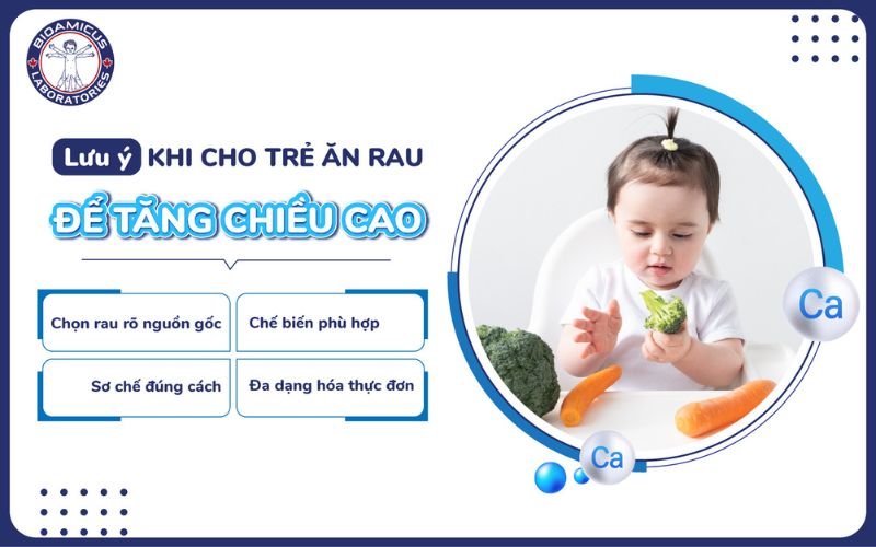 C&aacute;ch ăn rau tăng chiều cao
