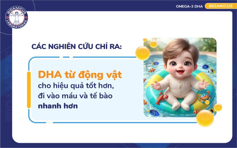 dha động vật tốt hơn dha thực vật
