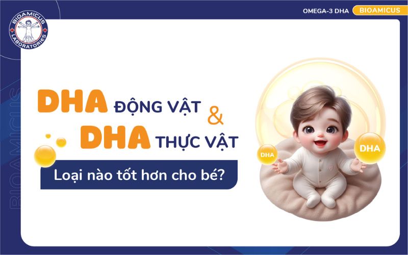 dha động vật v&agrave; dha thực vật loại n&agrave;o tốt hơn