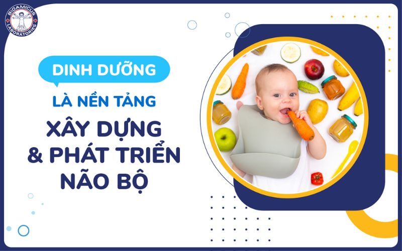 Dinh dưỡng là nền tảng phát triển não bộ