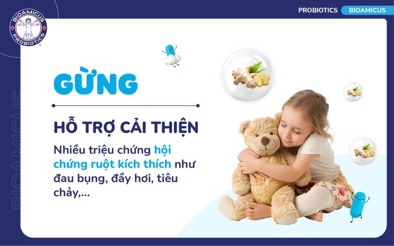 Gừng gi&uacute;p trị hội chứng ruột k&iacute;ch th&iacute;ch