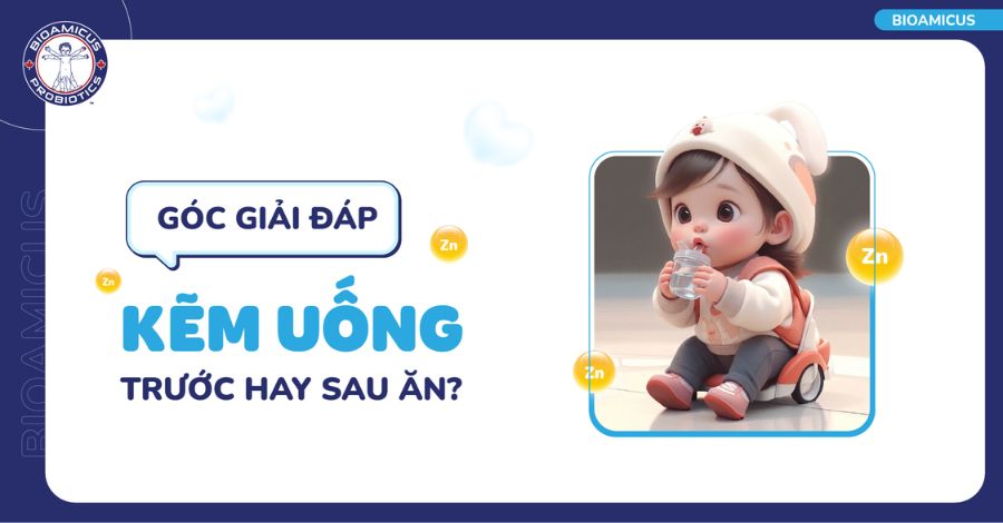 Thắc mắc Kẽm uống trước hay sau ăn là tốt nhất?