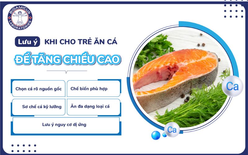 lưu &yacute; khi cho trẻ ăn c&aacute; để tăng chiều cao