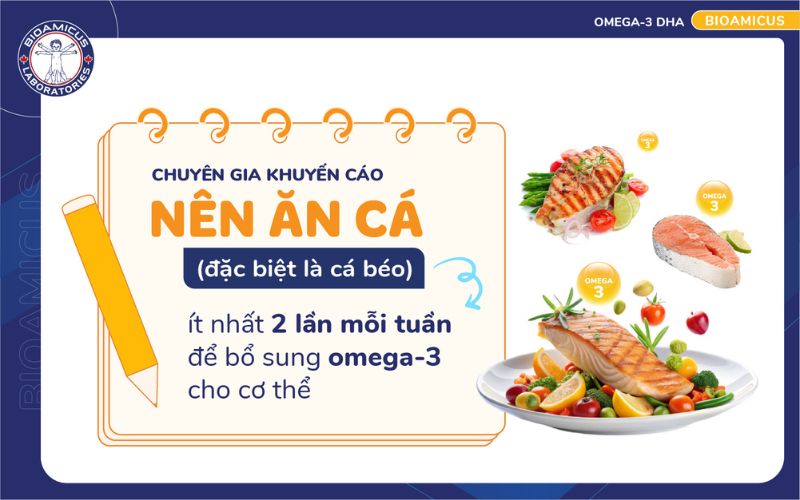 Cá béo là nguồn omega-3 dồi dào