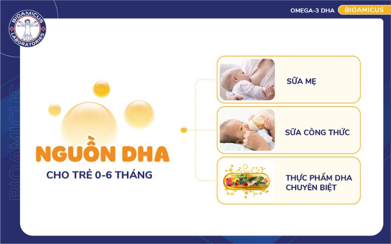 Nguồn bổ sung DHA cho trẻ từ 0-6 th&aacute;ng