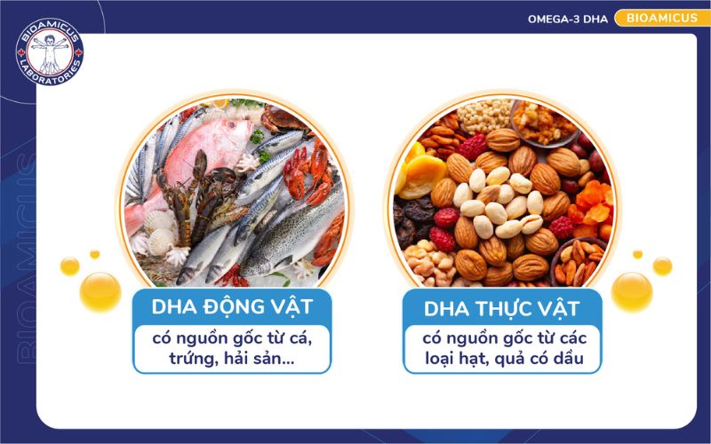 nguồn gốc dha động vật v&agrave; dha thực vật