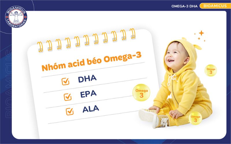 Nh&oacute;m acid b&eacute;o Omega-3