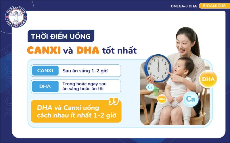 thời điểm uống canxi v&agrave; dha cho t&aacute;c dụng tốt nhất