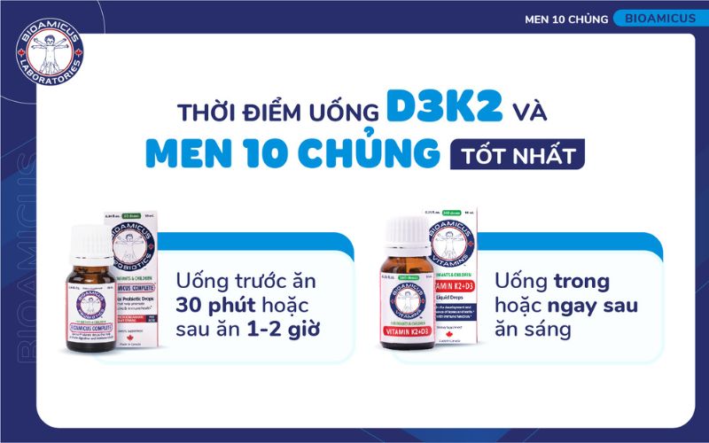 thời điểm uống d3k2 v&agrave; men 10 chủng cho t&aacute;c dụng tốt nhất