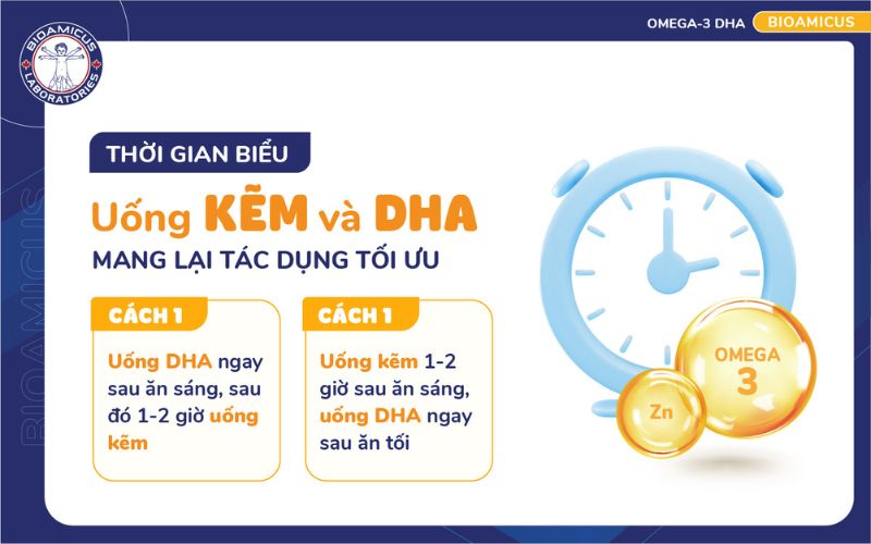 thời gian biểu bổ sung kẽm v&agrave; dha