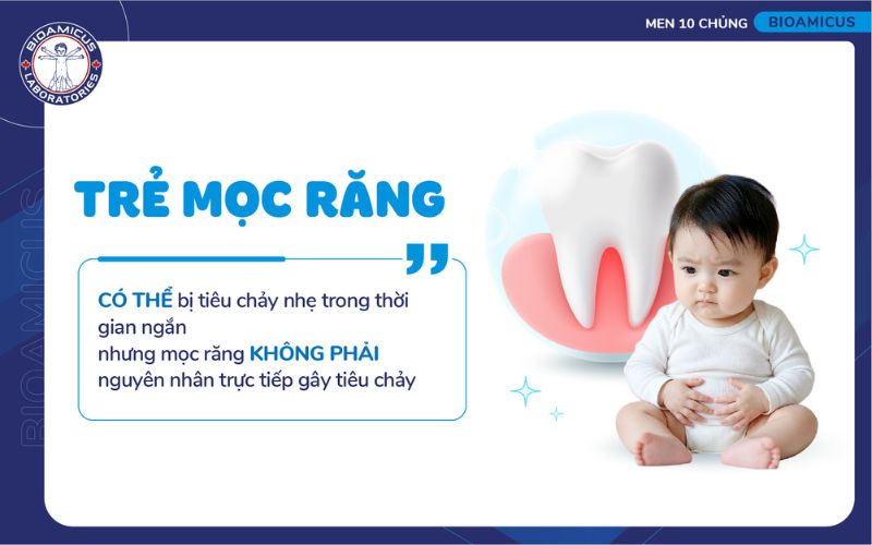 trẻ mọc răng c&oacute; thể bị ti&ecirc;u chảy