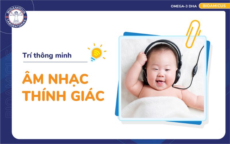 Tr&iacute; th&ocirc;ng minh &acirc;m nhạc - th&iacute;nh gi&aacute;c
