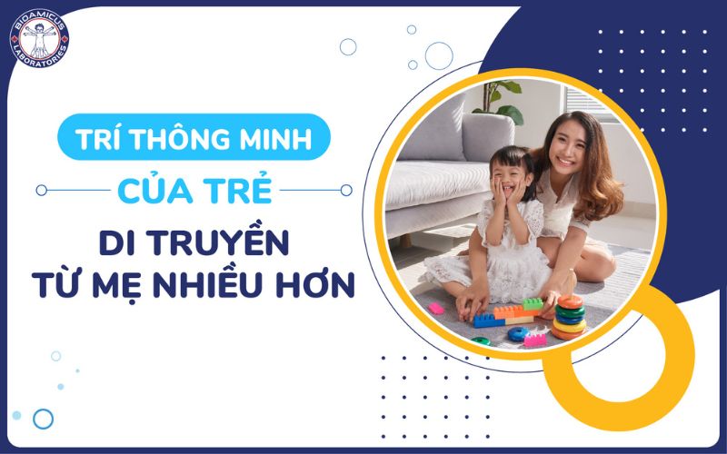 Tr&iacute; th&ocirc;ng minh di truyền từ mẹ nhiều hơn