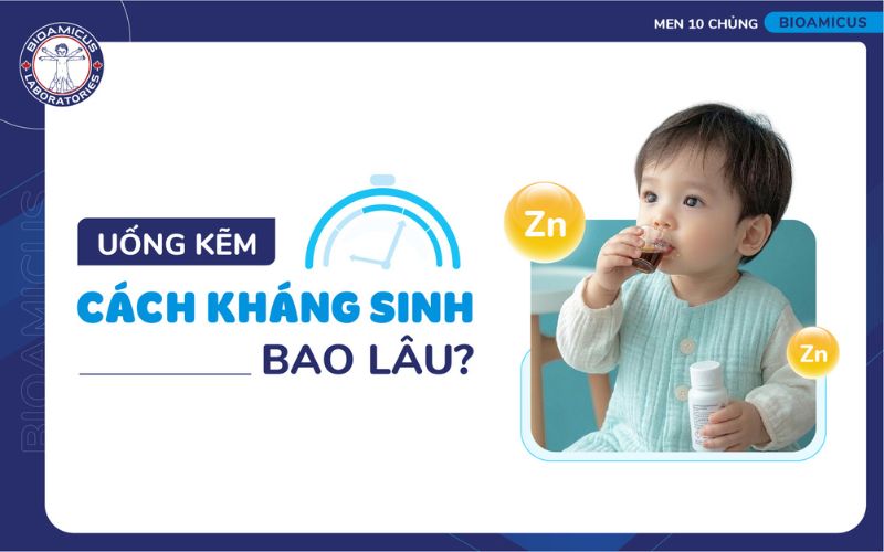 uống kẽm c&aacute;ch kh&aacute;ng sinh bao l&acirc;u