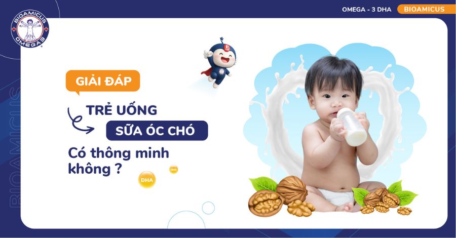 Trẻ uống sữa óc chó có thông minh không? Giải đáp chi tiết