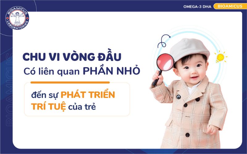 Chu vi v&ograve;ng đầu c&oacute; li&ecirc;n quan đến tr&iacute; th&ocirc;ng minh