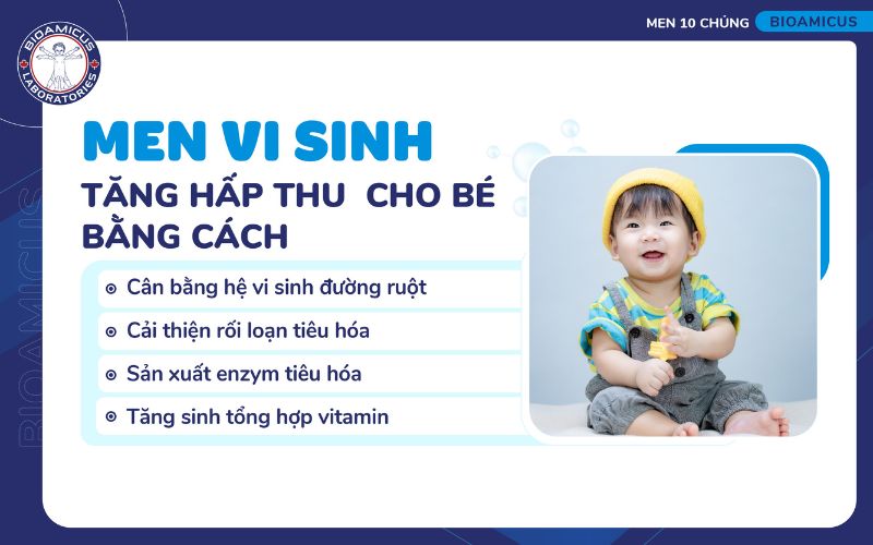 cơ chế tăng hấp thu của men vi sinh