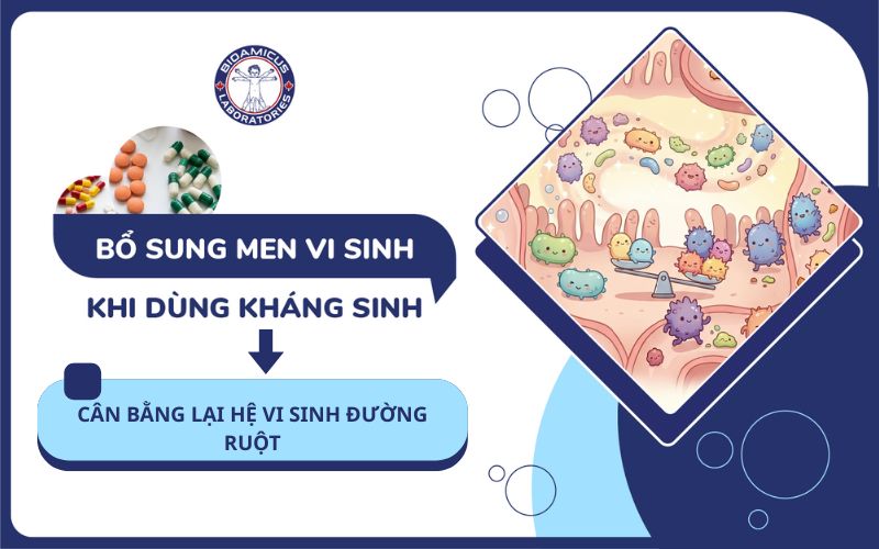 bổ sung men vi sinh khi dùng kháng sinh
