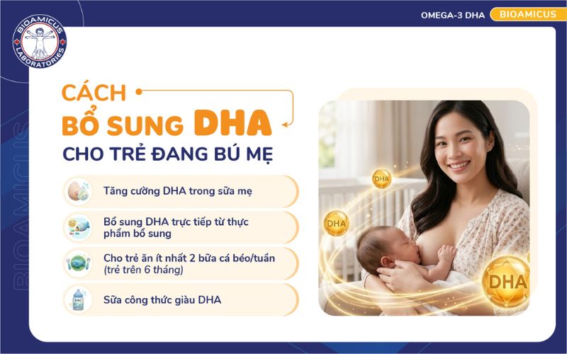 cách bổ sung DHA cho trẻ đang bú mẹ