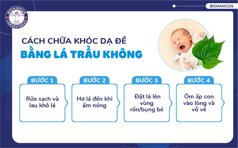 C&aacute;ch chữa kh&oacute;c dạ đề bằng l&aacute; trầu kh&ocirc;ng