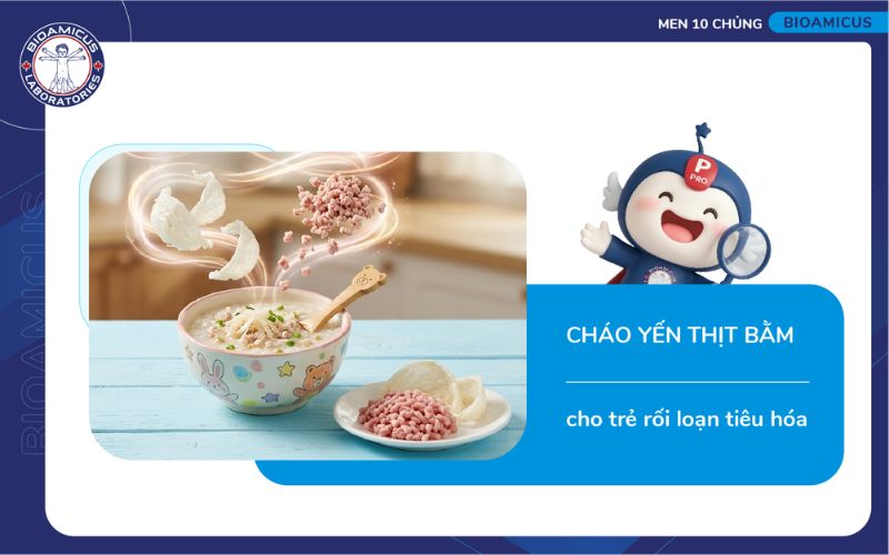 ch&aacute;o yến thịt băm cho trẻ rối loạn ti&ecirc;u h&oacute;a