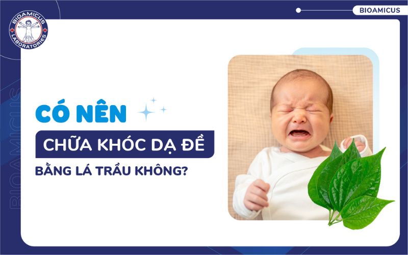 C&oacute; n&ecirc;n chữa kh&oacute;c dạ đề bằng l&aacute; trầu kh&ocirc;ng?