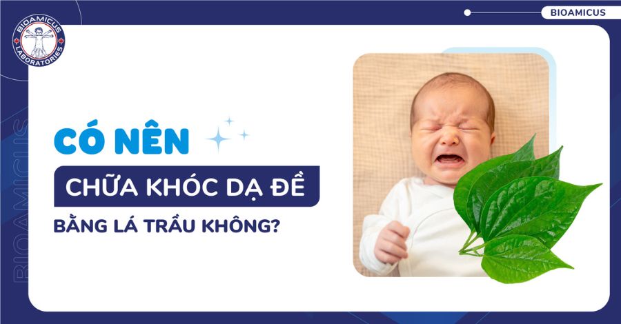 Có nên chữa khóc dạ đề bằng lá trầu không?