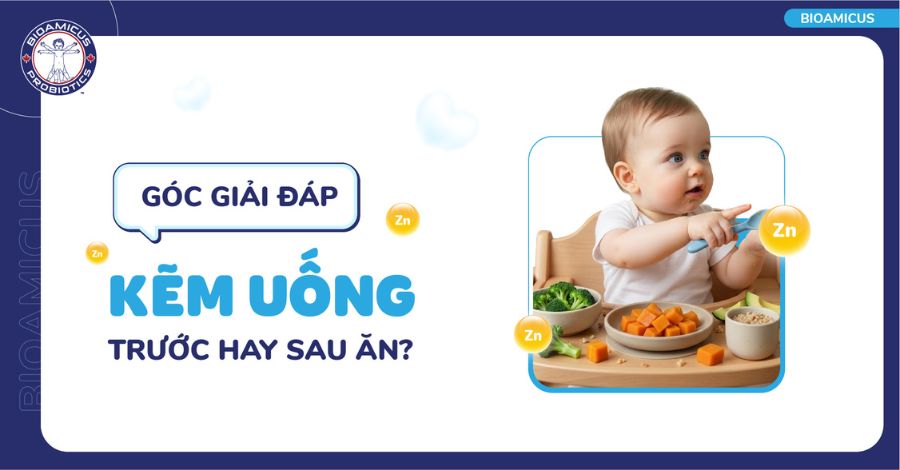 Thắc mắc Kẽm uống trước hay sau ăn là tốt nhất?
