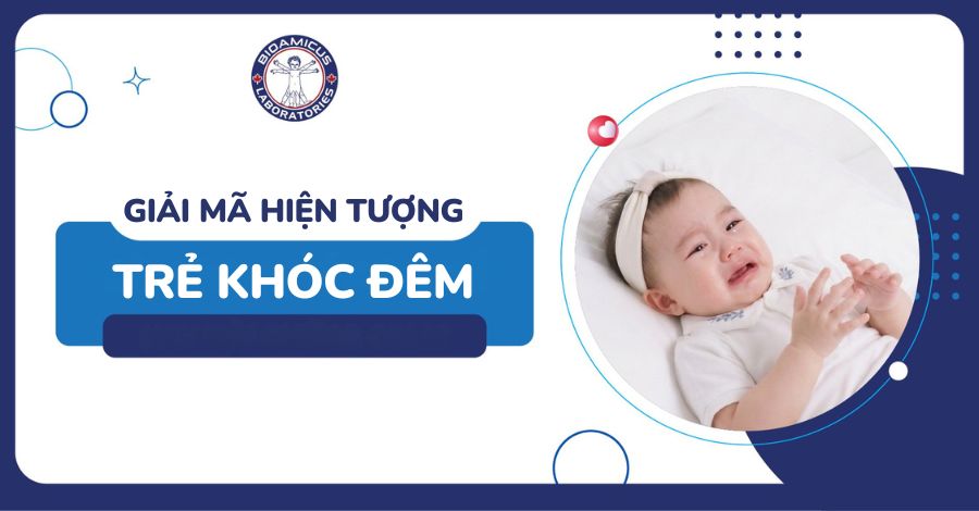 Giải mã hiện tượng trẻ khóc đêm - Cẩm nang những điều mẹ cần biết