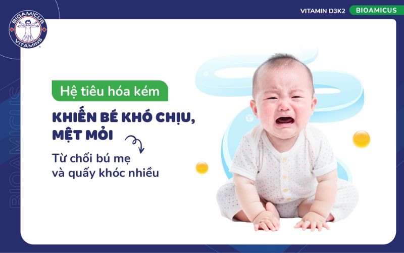 hệ ti&ecirc;u h&oacute;a k&eacute;m khiến b&eacute; kh&oacute; chịu, bỏ b&uacute;, quấy kh&oacute;c đ&ecirc;m