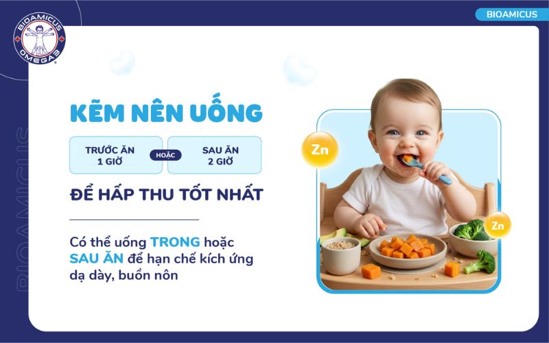 kẽm n&ecirc;n uống trước ăn 1 giờ hoặc sau ăn 2 giờ