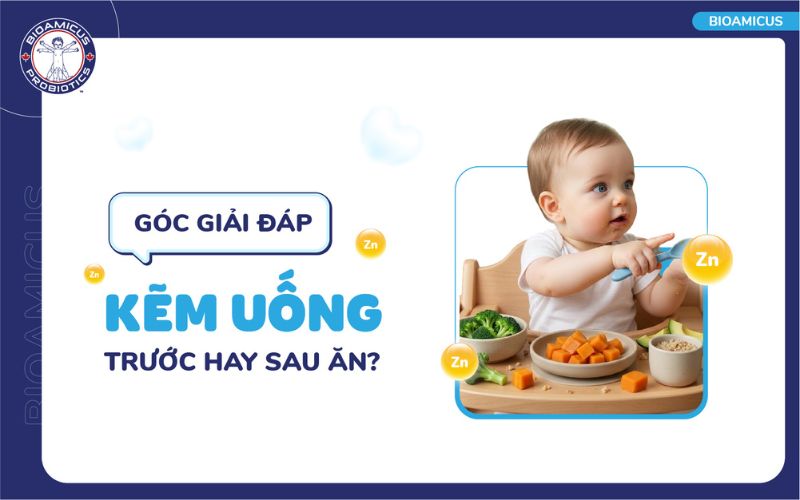 kẽm uống trước hay sau ăn